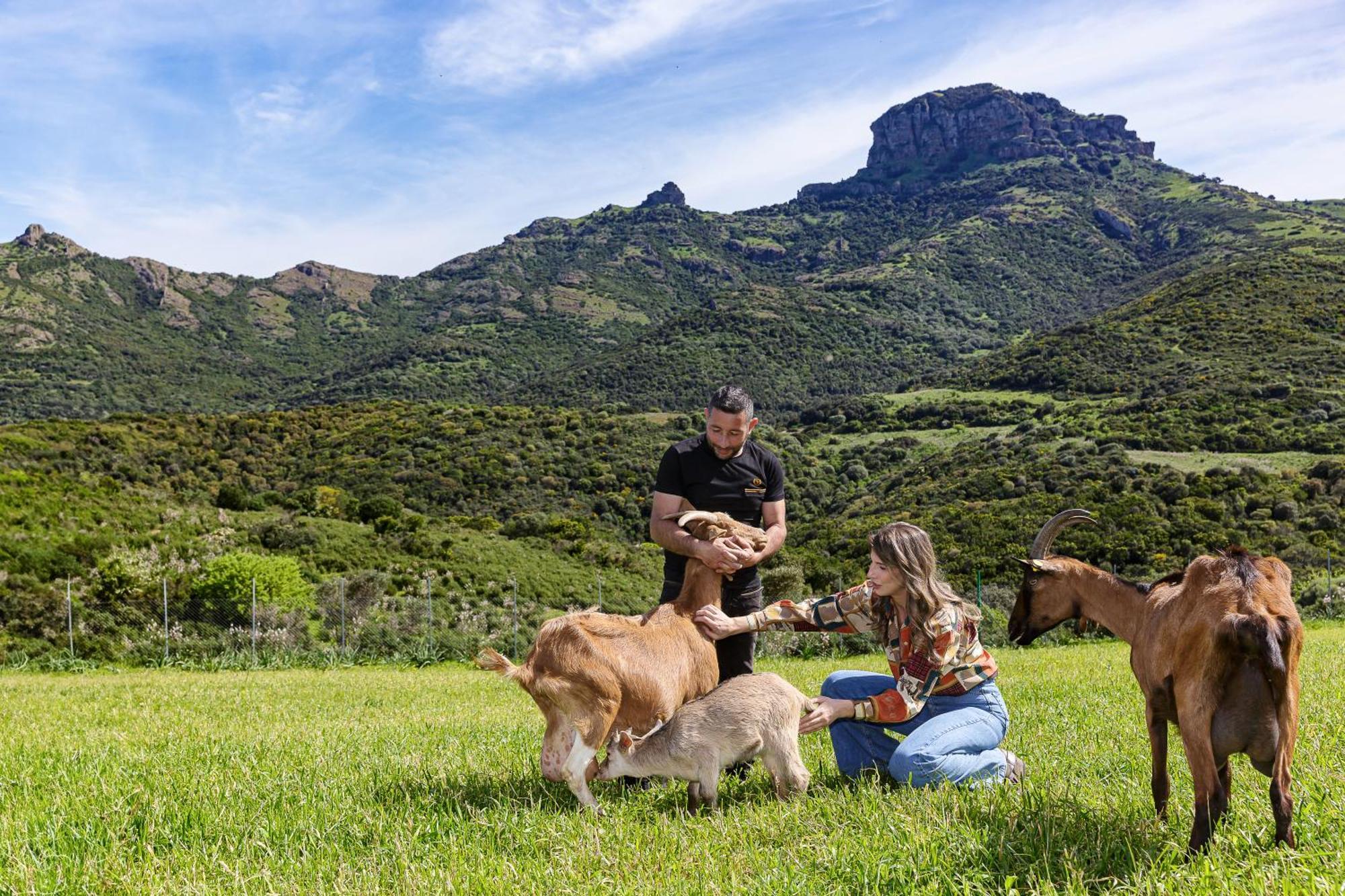 Agroturismo L'aquila