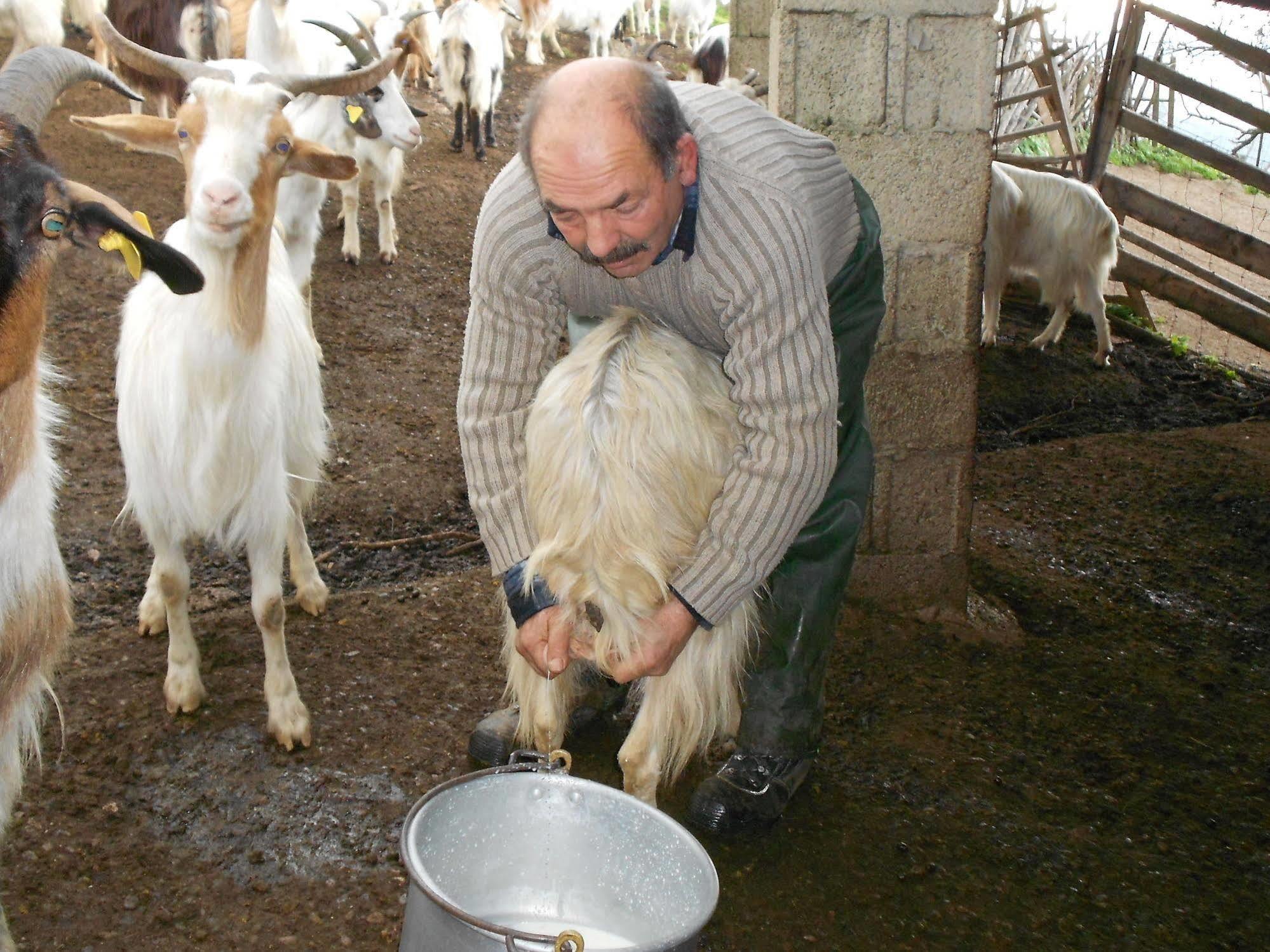 Agroturismo L'aquila Arbus