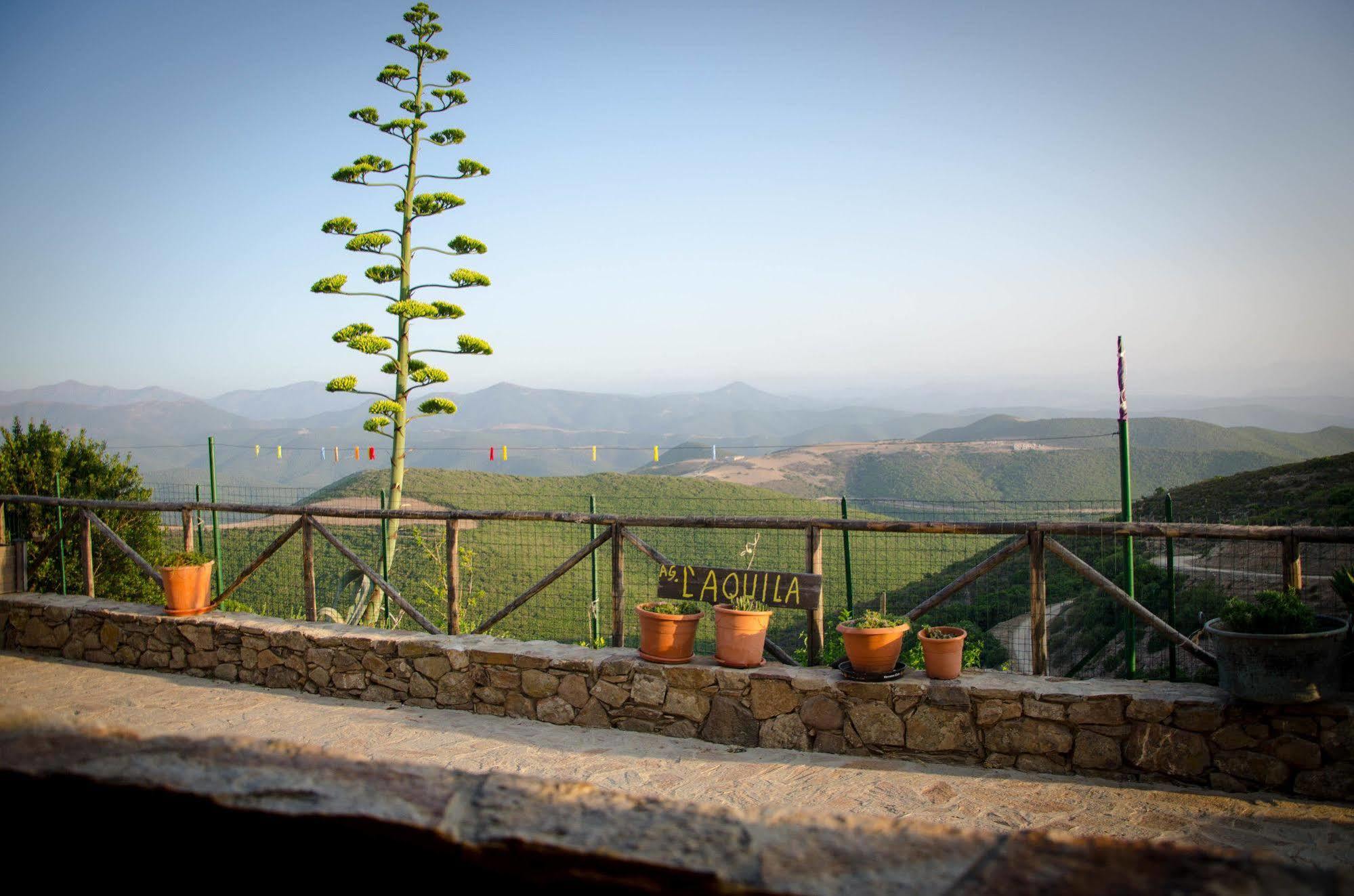 L'aquila Agroturismo *